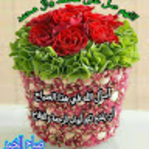 Meet your Posher, Randa - Picture 1 of 1